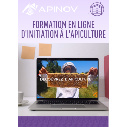 Initiation à l'apiculture