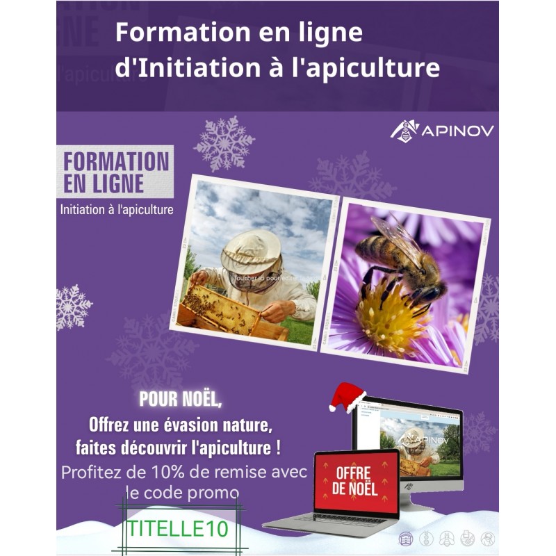 Initiation à l'apiculture